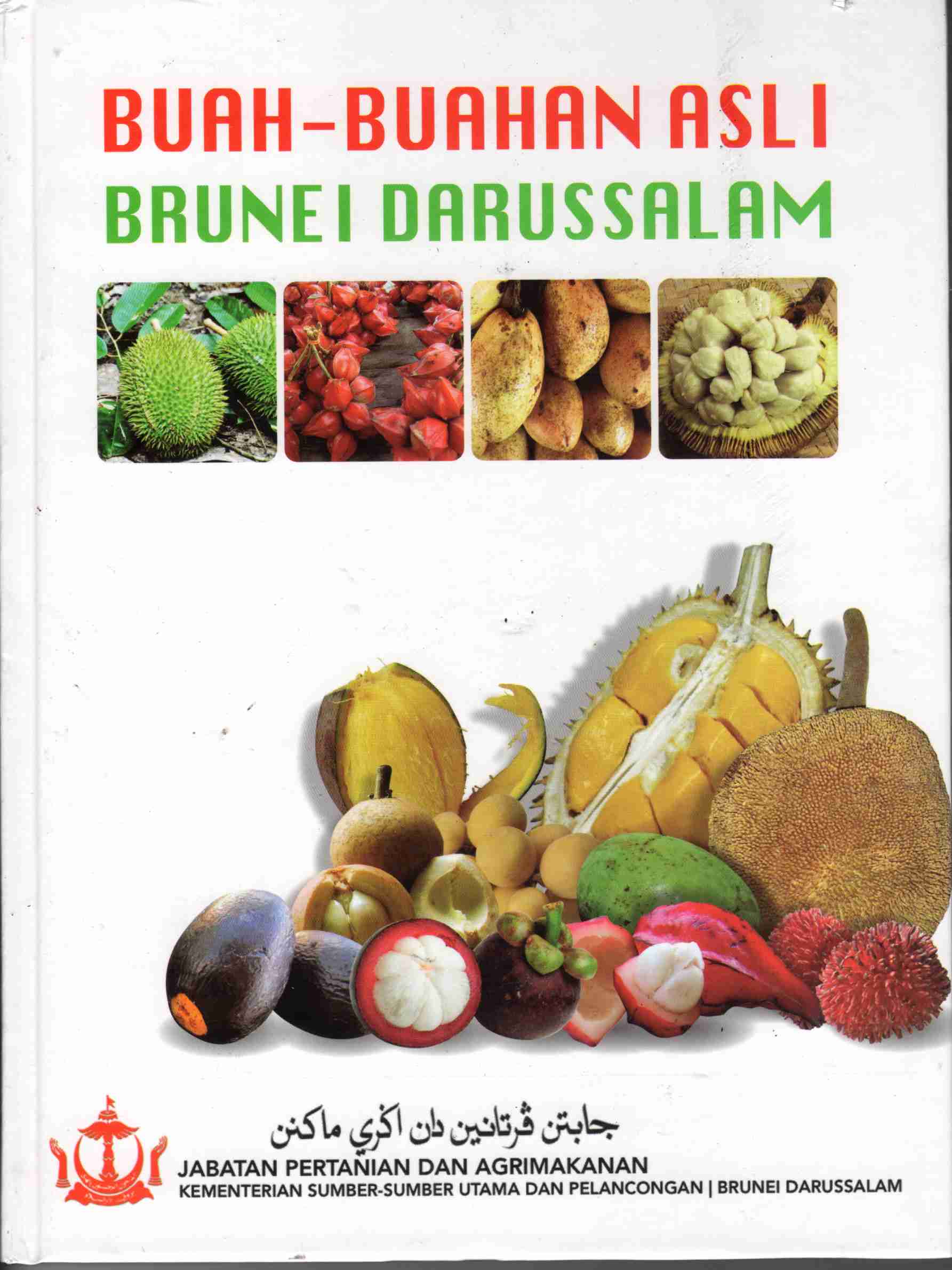 Buah-buahan Asli Brunei Darussalam